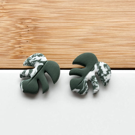 Monstera • Stud • Variegated