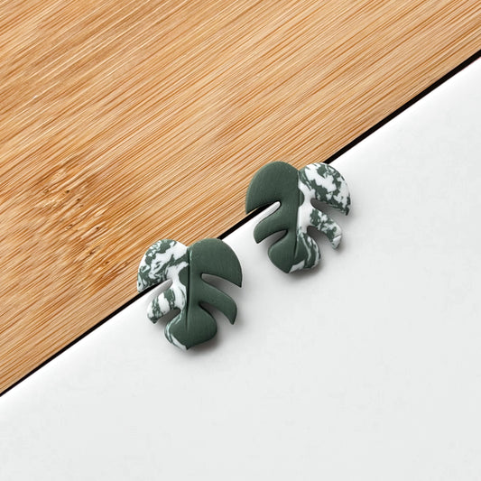 Monstera • Stud • Variegated