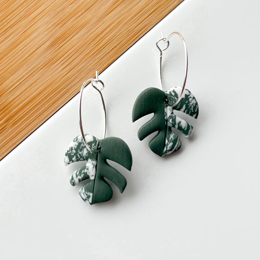 Monstera • Hoop • Variegated