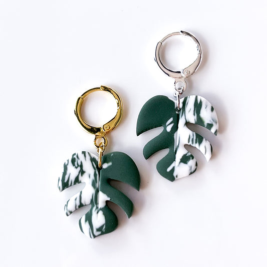 Monstera • Small • Variegated **Silver OR Gold**